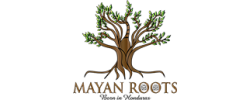 mayan-roots