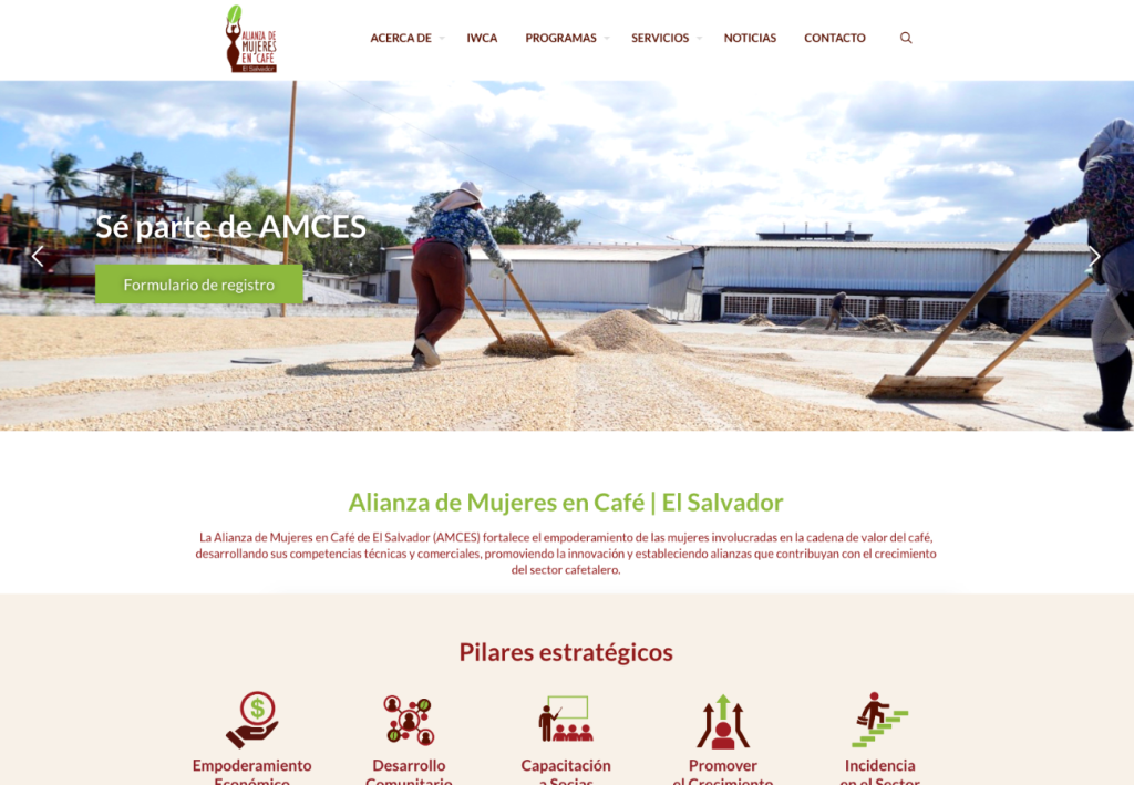 Portafolio Diseño Web 23 Portafolio Diseño Web