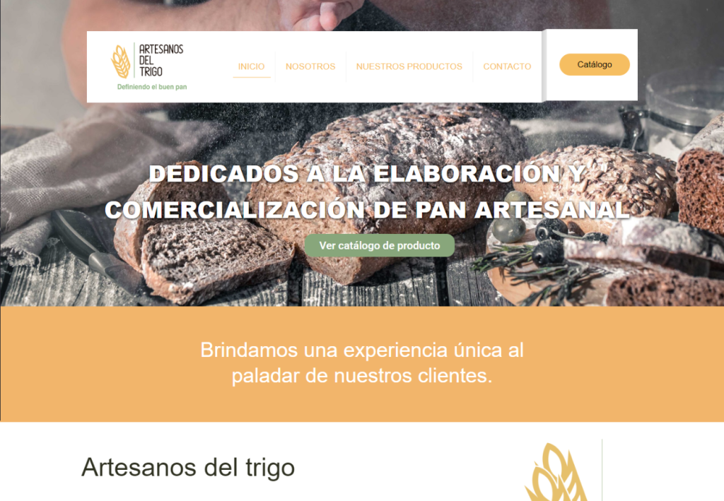 Portafolio Diseño Web