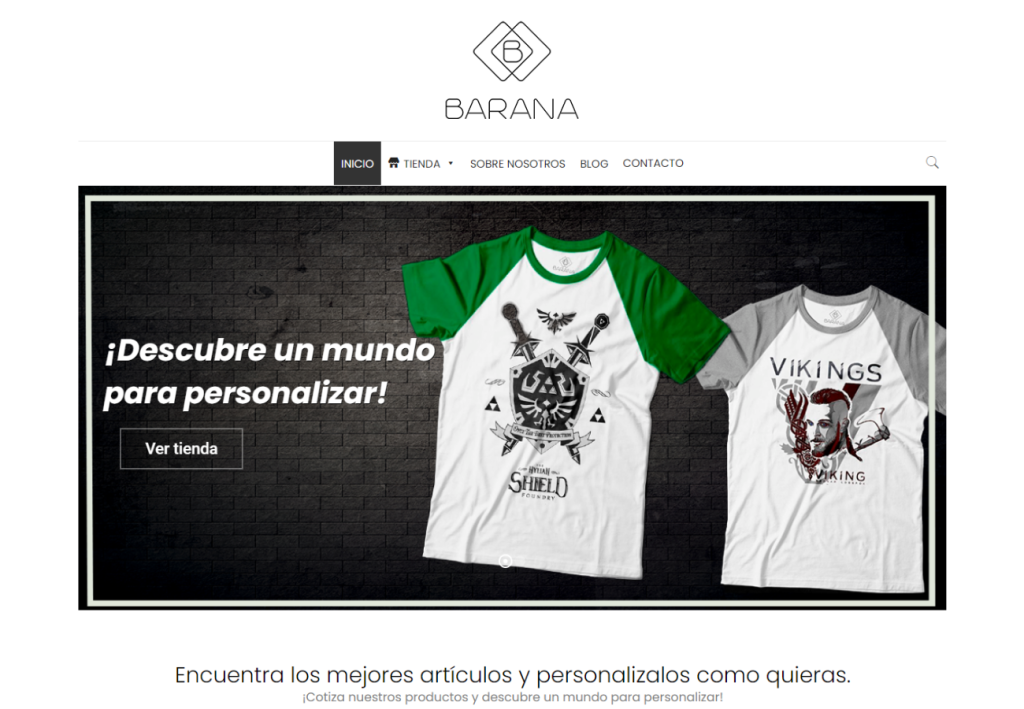 Portafolio Diseño Web 39 Portafolio Diseño Web