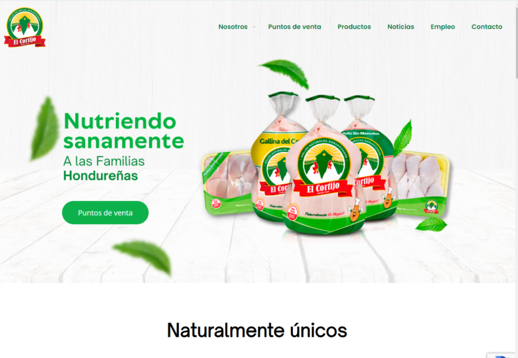Portafolio Diseño Web