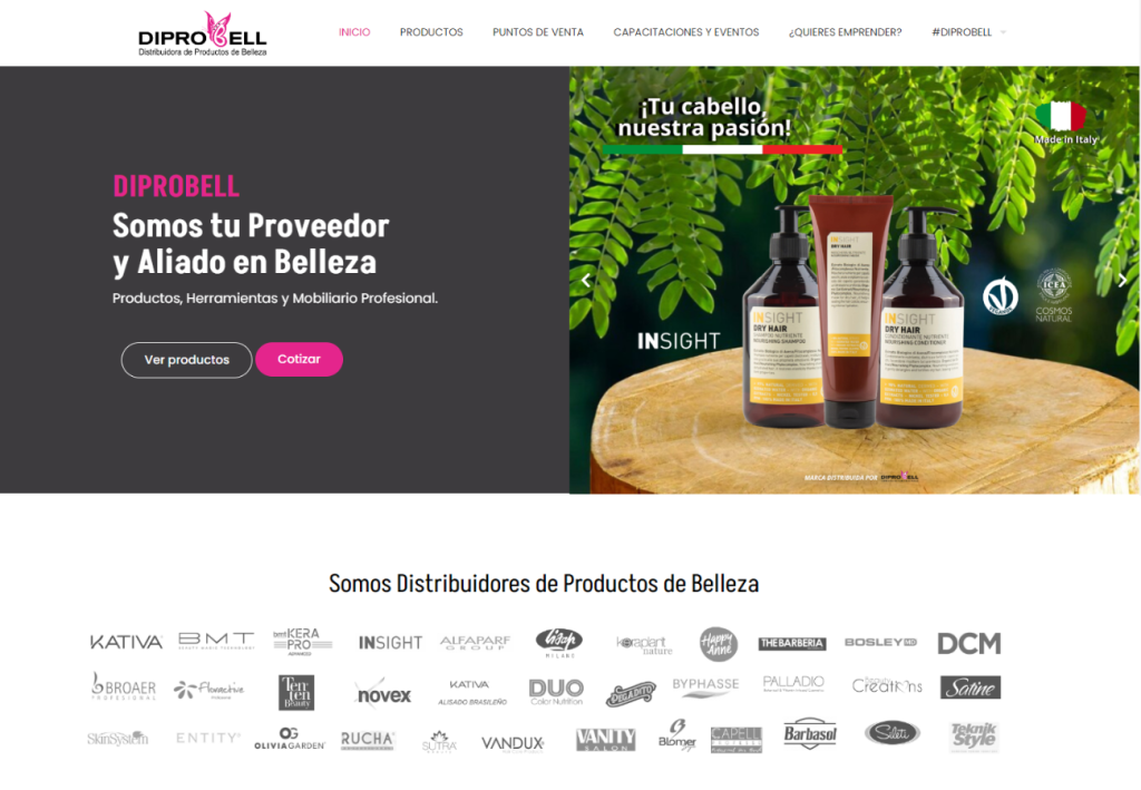 Portafolio Diseño Web