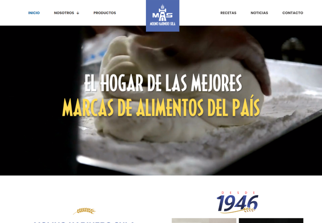 Portafolio Diseño Web