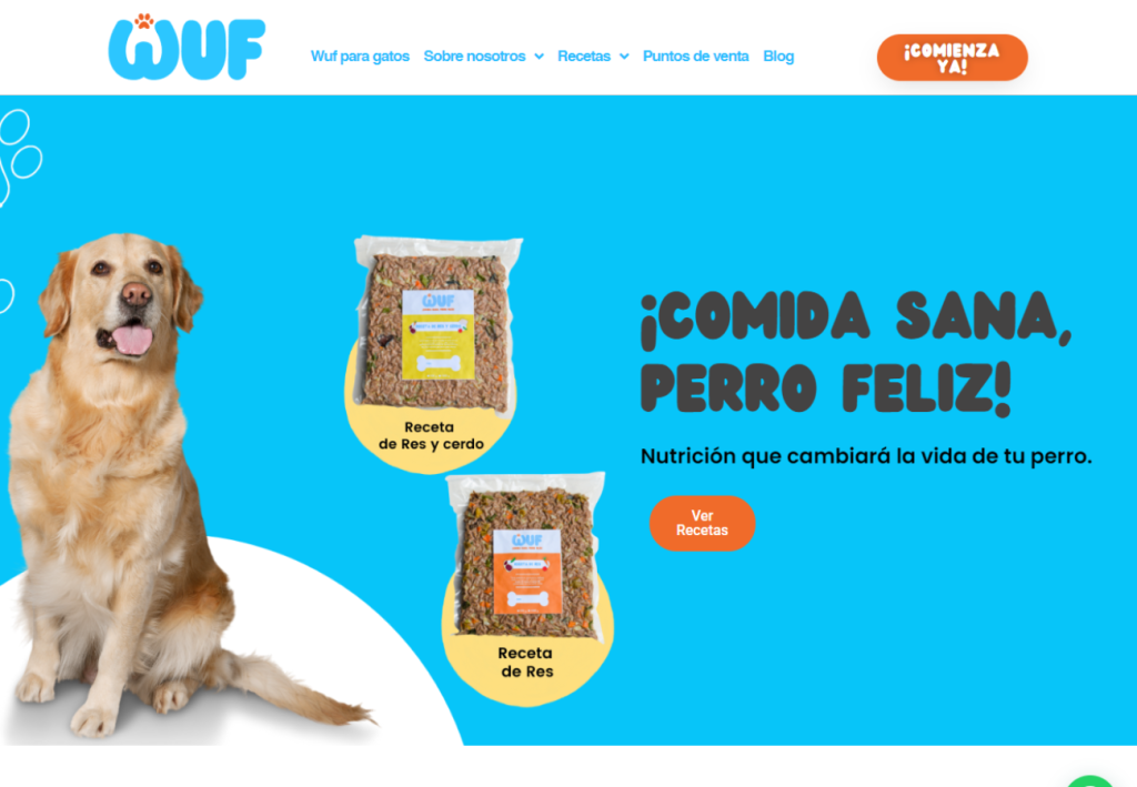 Portafolio Diseño Web