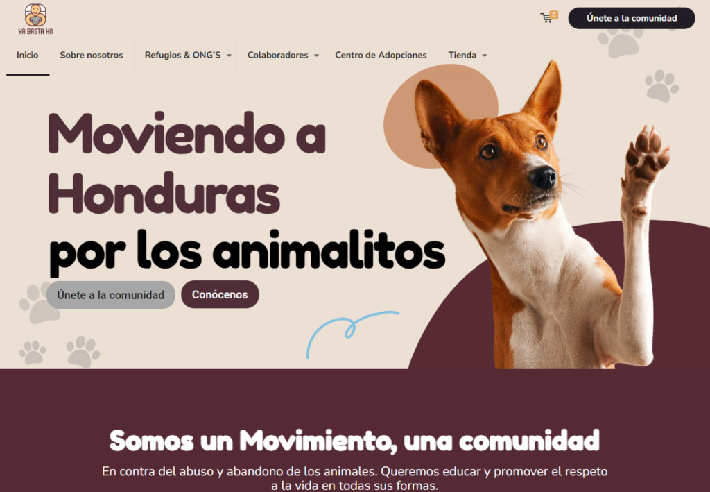Portafolio Diseño Web 117 Portafolio Diseño Web