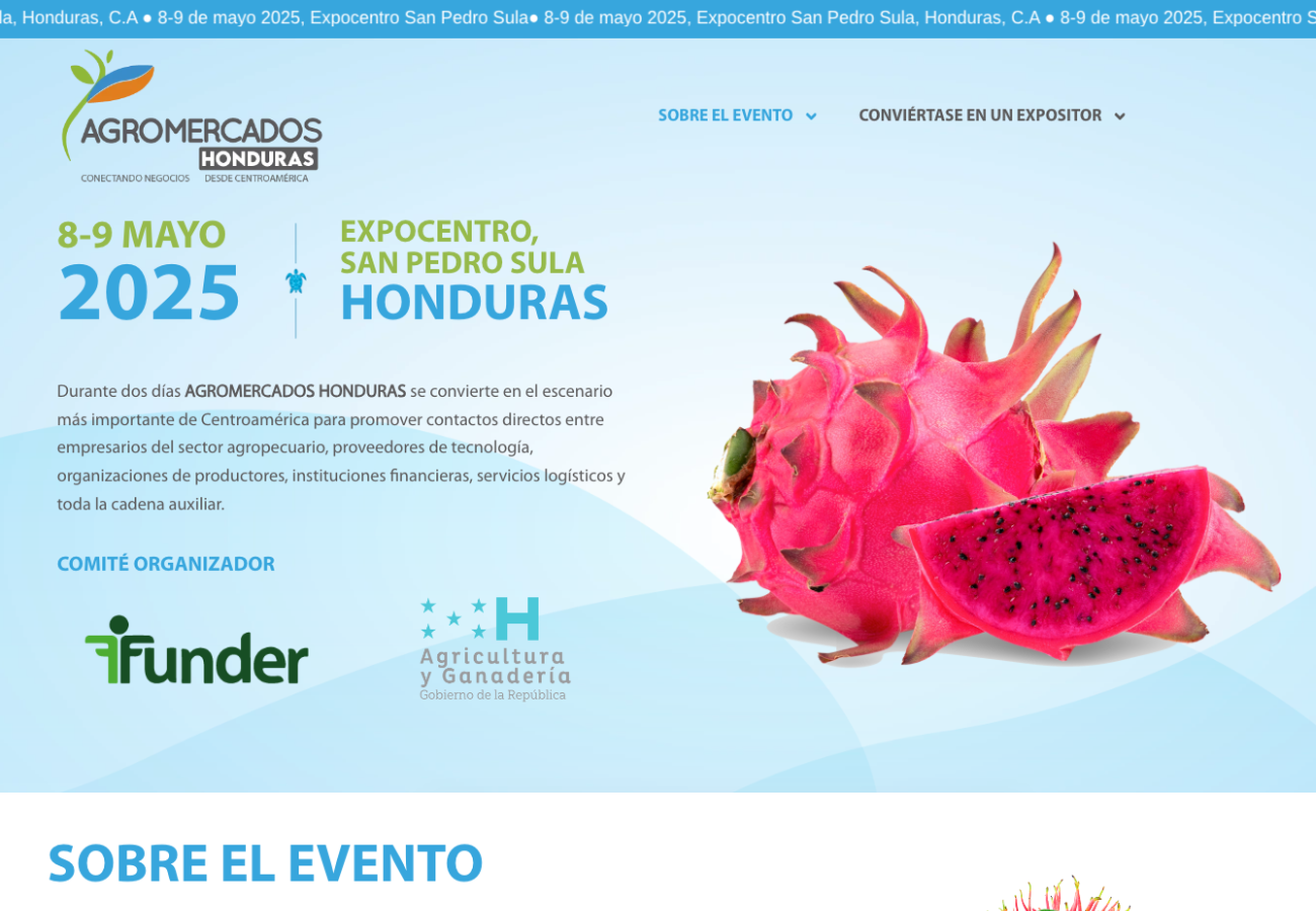Portafolio Diseño Web 7 Portafolio Diseño Web