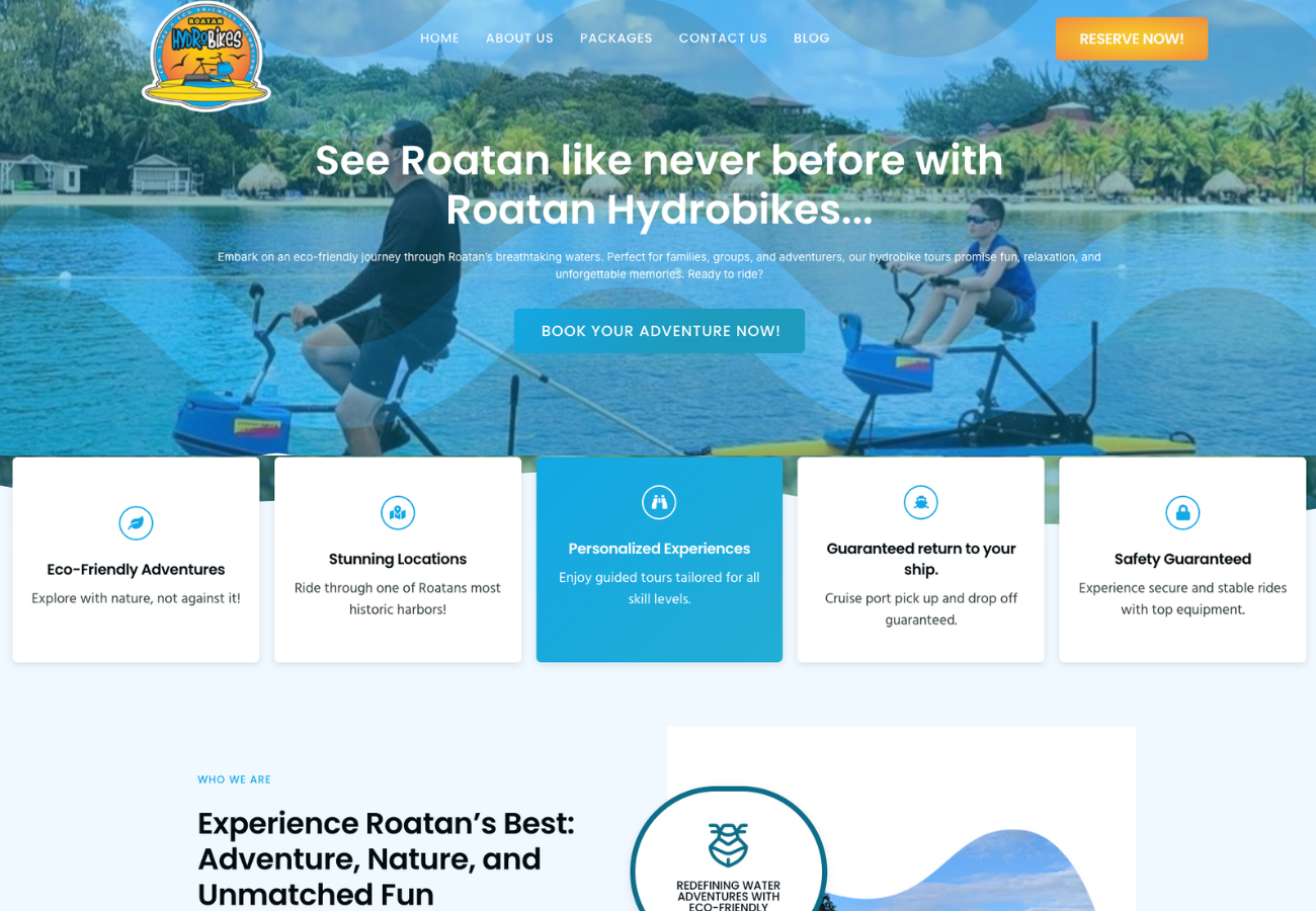Portafolio Diseño Web